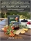 Набор авторского чая 15 ярких вкусов 2378 - фото 9217